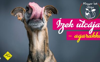 ÍZEK UTCÁJA AGARAKKAL – 2019.08.18-20.