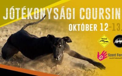 JÓTÉKONYSÁGI COURSING (ALSÓNÉMEDI) – 2019.10.12.