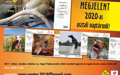 MEGJELENT A 2020-AS NAPTÁR