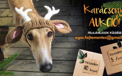 KARÁCSONYI AUKCIÓ 2019.11.10 – 12.08.