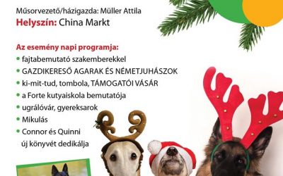 ADVENTI JÓTÉKONYSÁGI ADOMÁNYGYŰJTŐ ÉS ÖRÖKBE FOGADÓ NAP – 2019.12.08.