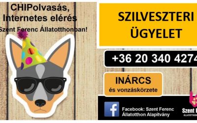 SZILVESZTERI ÜGYELET